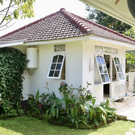 Pondok Plantation Luxury Mountain Escape Bedugul Bedugul  Eksteriør bilde