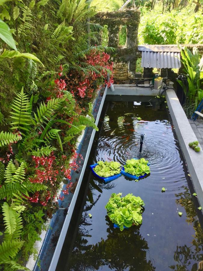 Pondok Plantation Luxury Mountain Escape Bedugul Bedugul  Eksteriør bilde