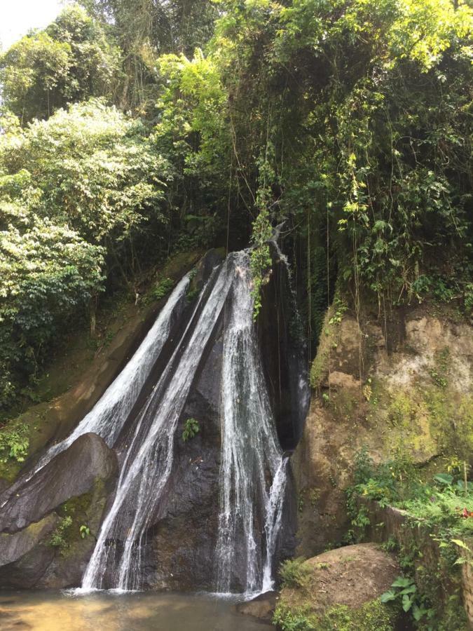 Pondok Plantation Luxury Mountain Escape Bedugul Bedugul  Eksteriør bilde