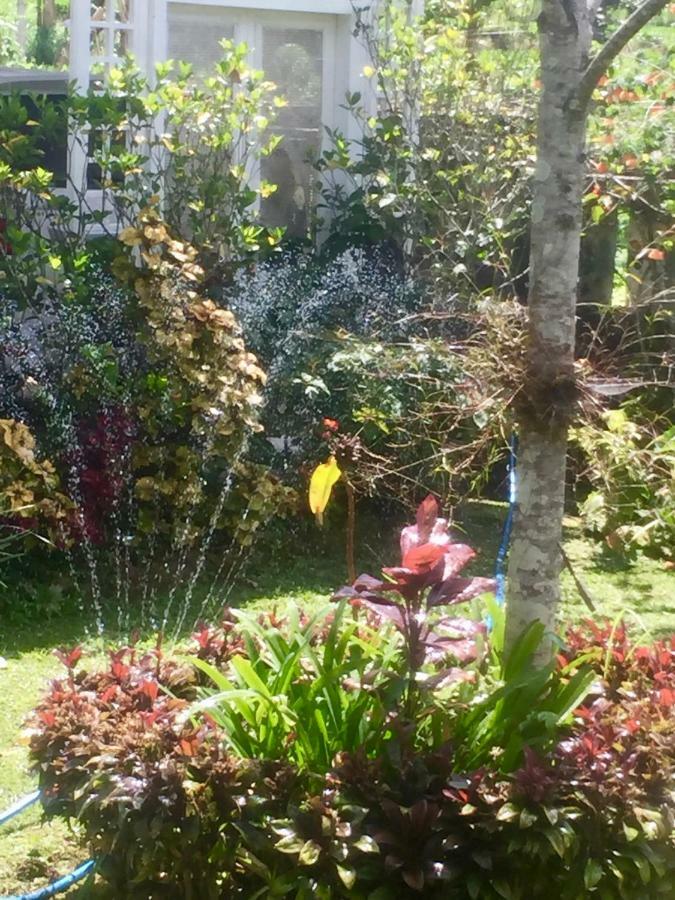 Pondok Plantation Luxury Mountain Escape Bedugul Bedugul  Eksteriør bilde