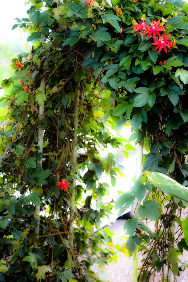 Pondok Plantation Luxury Mountain Escape Bedugul Bedugul  Eksteriør bilde